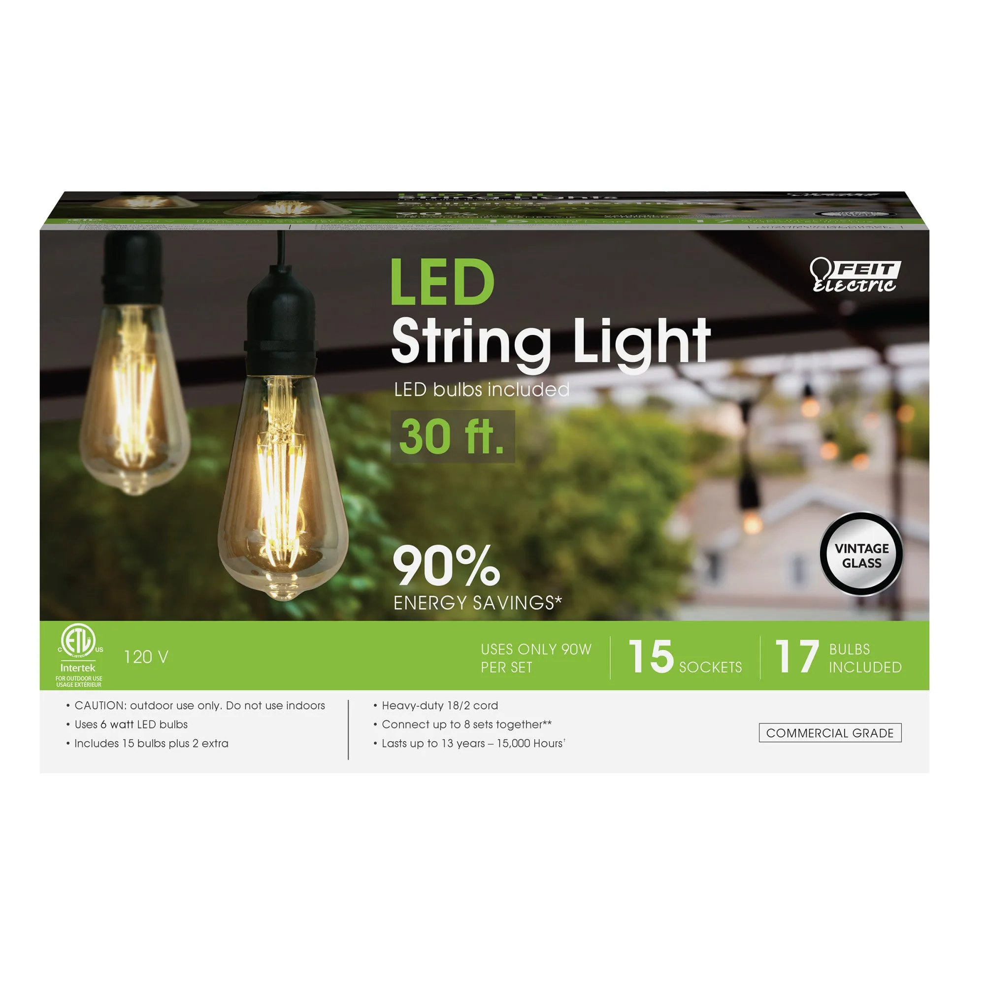 30 ft. LED String Lights with Filament ST19 bulbs